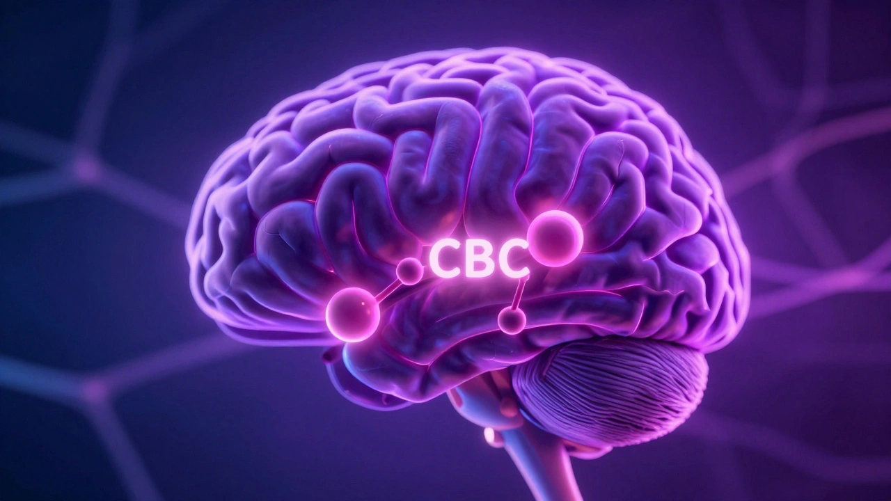 Lidský mozek s intenzivně zářícími CB1 receptory vázanými na HHC-O molekulu.