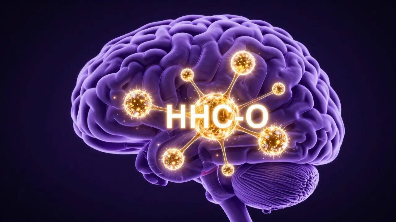 Konceptuální zobrazení molekul HHC-O se vážících na receptory v mozku.