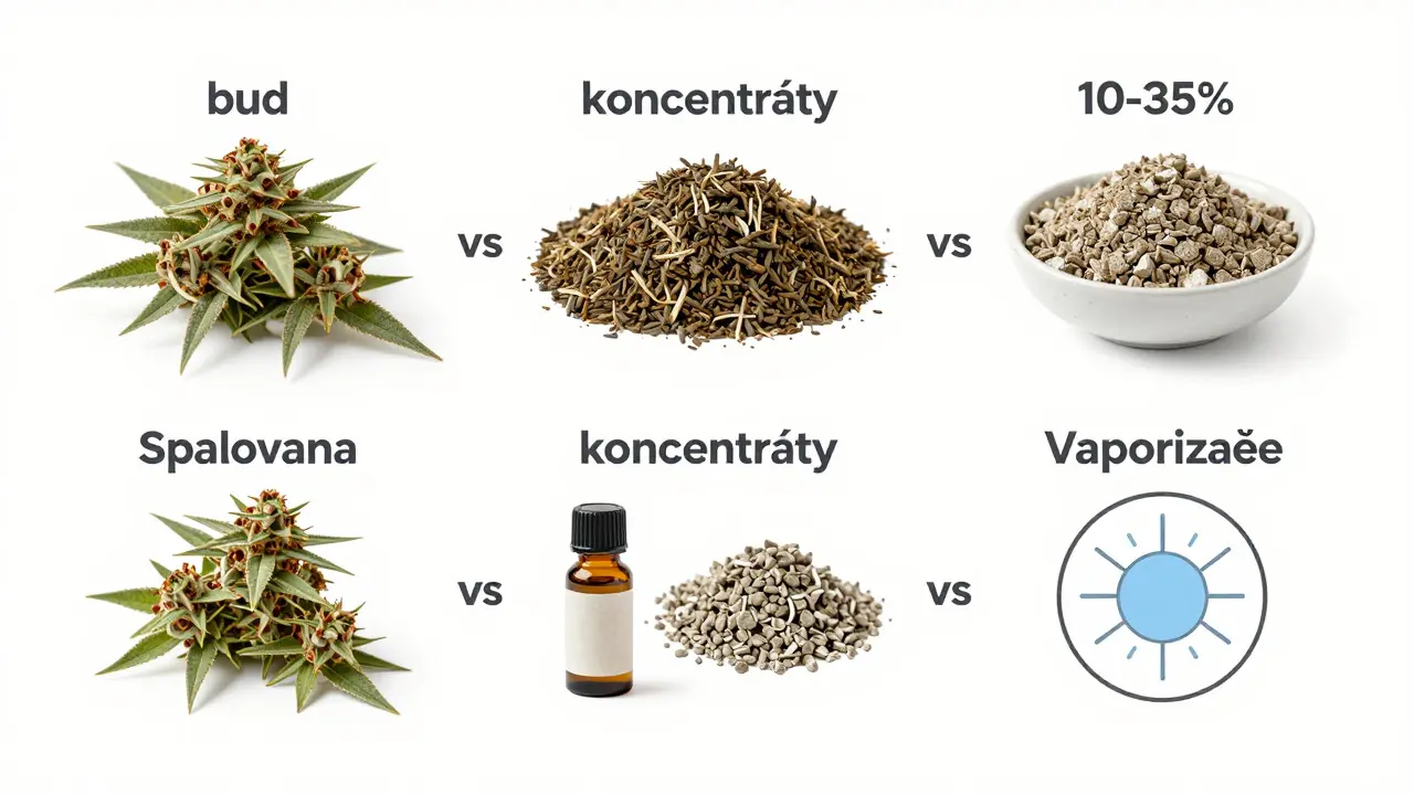 Dabs vs. Bud: Proč jsou koncentráty silnější a jak se liší od klasického konopí