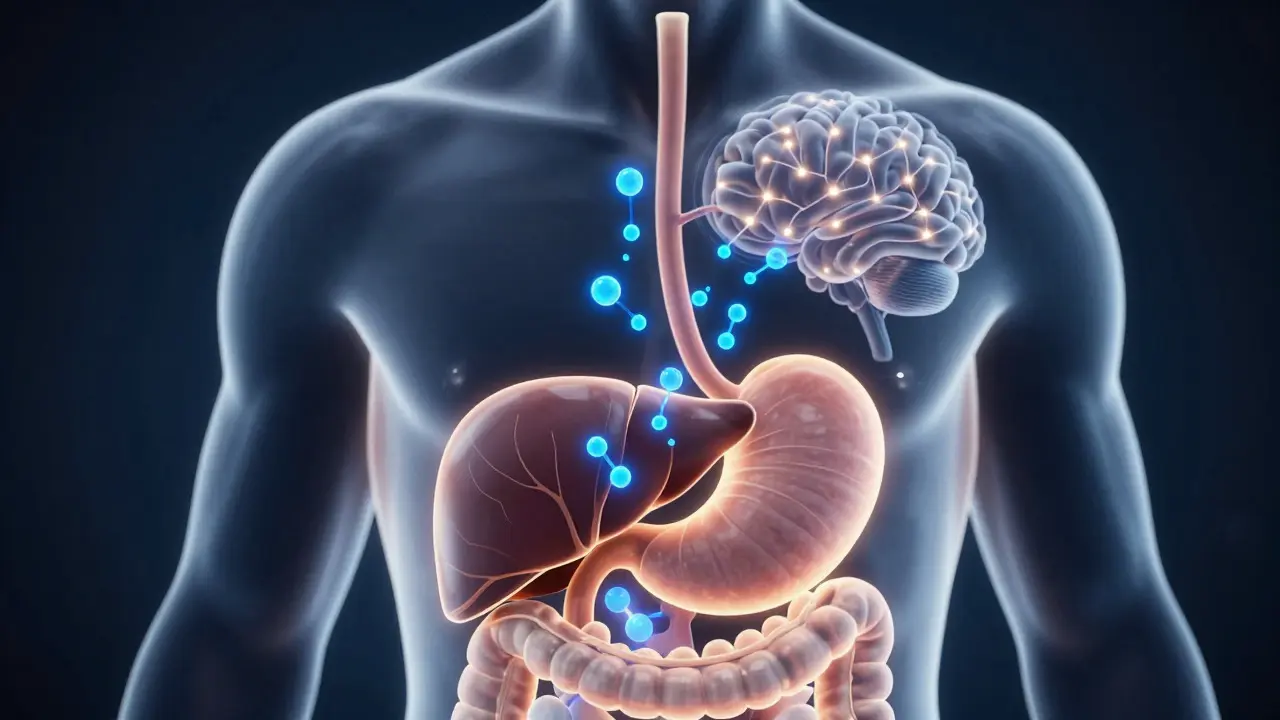 Ilustrace metabolismu THC v játrech a přeměny na aktivní formu
